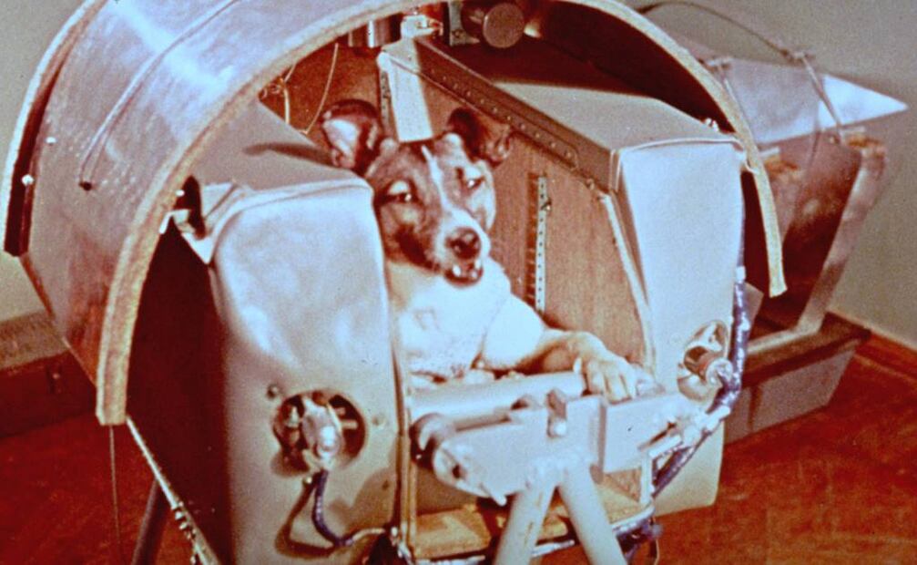 Laika partió escasamente un mes después de que el primer objeto artificial, el Sputnik 1, fue puesto en órbita. Foto: Archivo