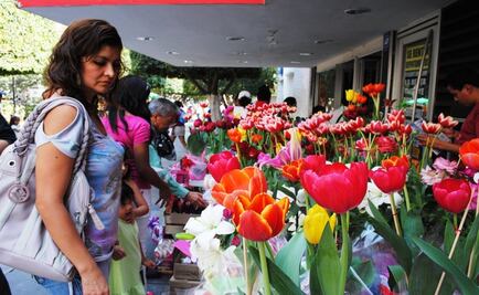 Semarnat aconseja no usar bolsas de celofán este 14 de febrero