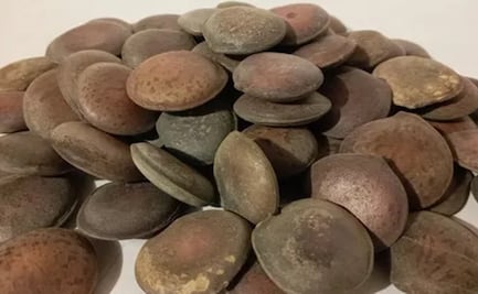 ¿Qué es el haba de San Ignacio y para qué sirve?