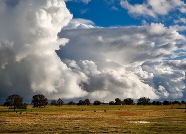 Conoce el rancho donde puedes hospedarte en la CDMX