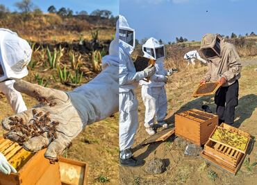 Día Mundial de las Abejas: El lugar donde podrás vivir la experiencia de ser apicultor en CDMX