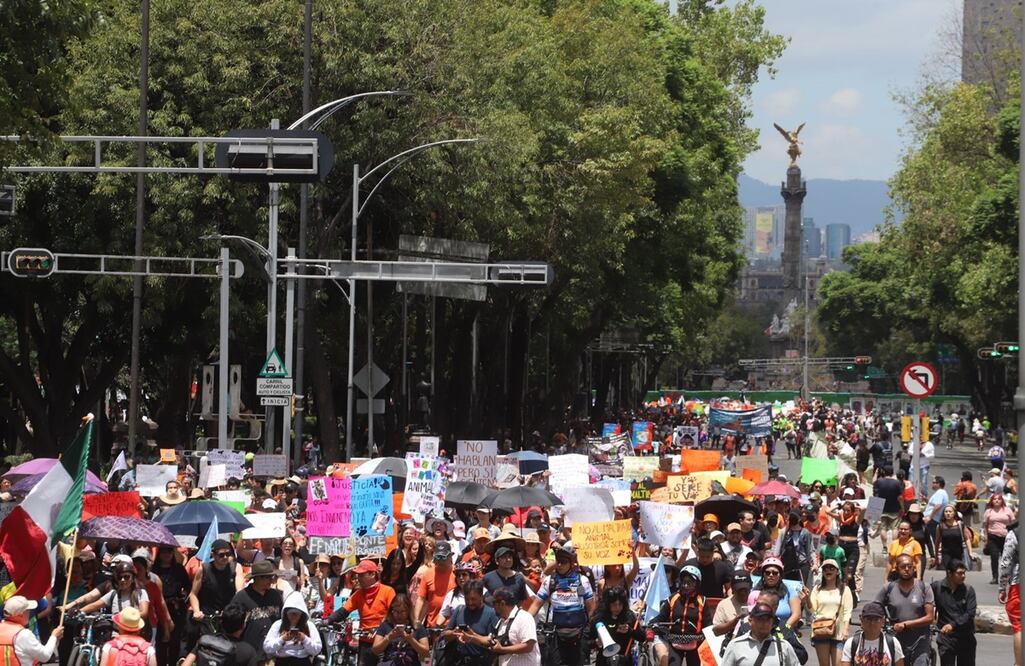 FOTO: Berenice Fregoso/ EL UNIVERSAL/