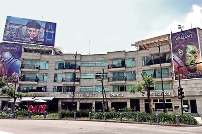 En Polanco acusan poda de jacarandas por espectacular