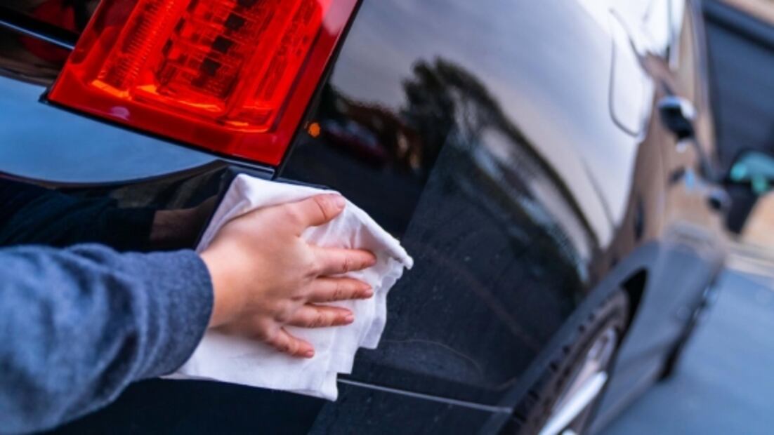Cómo quitar excremento de pájaro de tu auto sin dañar la pintura 