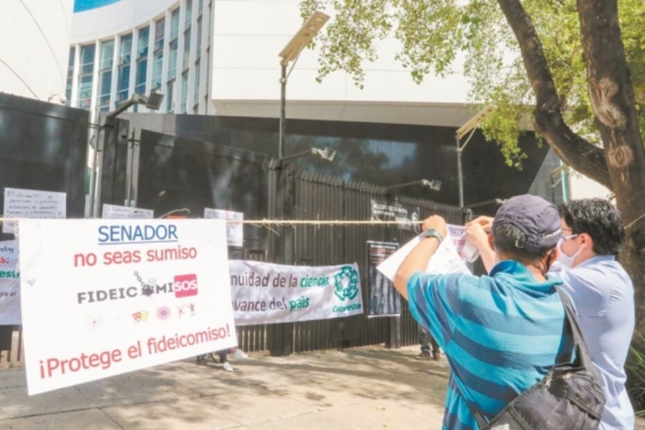 Gestión de comisiones de Cultura reprueba ante especialistas