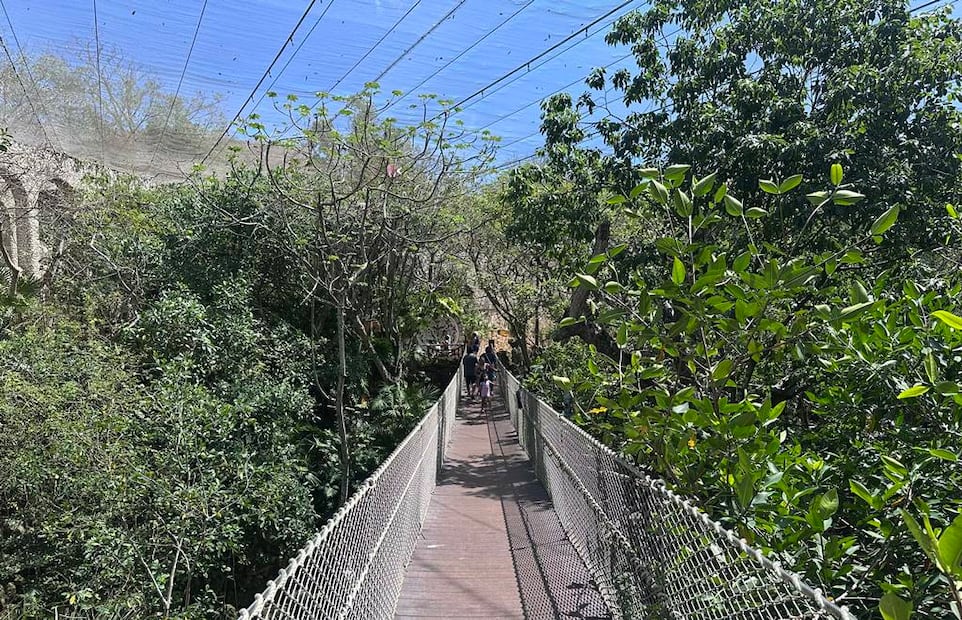 Foto: Omar Moreno. El Universal