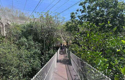 Foto: Omar Moreno. El Universal