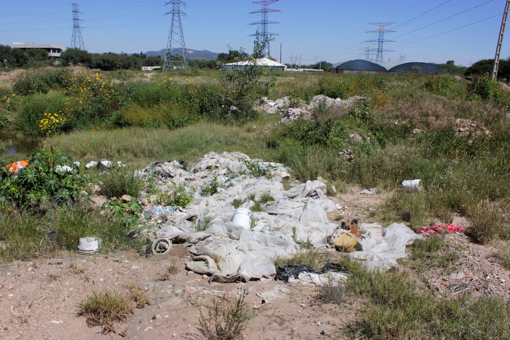 Foto: ARCHIVO. EL UNIVERSAL