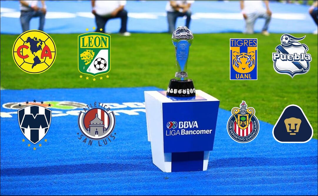 Así se jugará la Liguilla del Apertura 2023 / Foto: Especiales