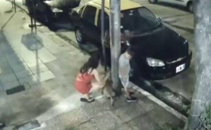 Mujer abandona a su perro en Navidad; video se vuelve viral 