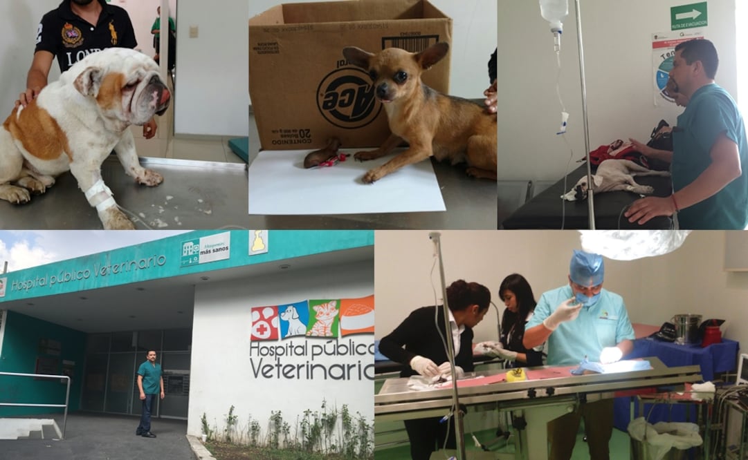 Foto: Rebeca Jiménez / El Universal