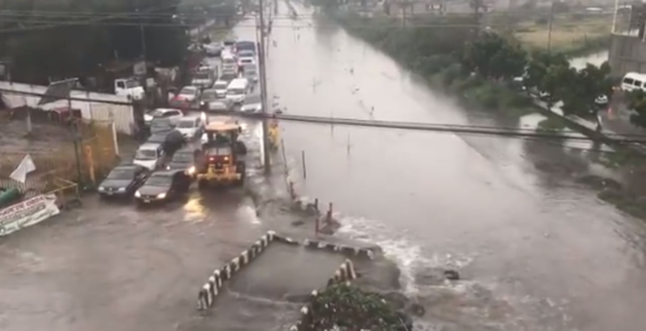 Foto: tomada de Twitter