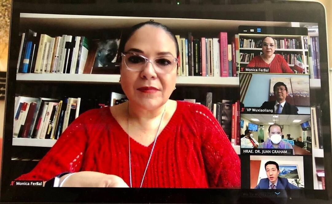 Senadora Mónica Fernández Balboa, en reunión virtual sobre equipo de diagnóstico de Covid-19.  Foto: Especial