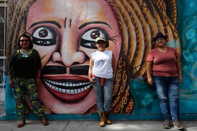 Crean muros contra la delincuencia