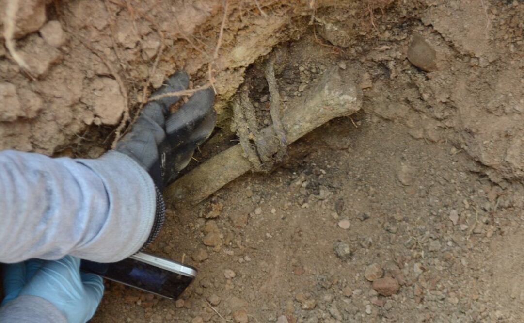 Foto: Archivo / EL UNIVERSAL