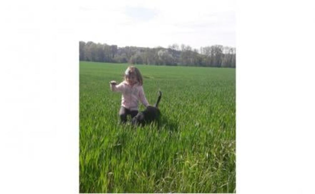 “Luna”, perrita maltratada en Oaxaca, tiene nueva familia en Suiza