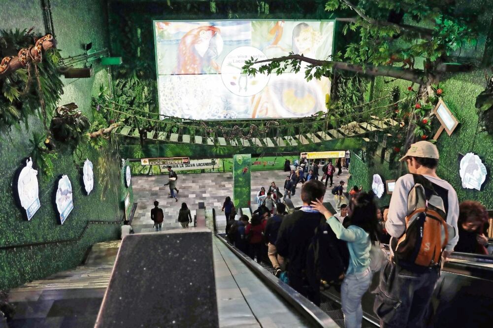 Como parte de la exposición se colocó un puente colgante, de 12.5 metros, donde se pueden observar serpientes, monos y ocelotes .(FOTOS: JUAN CARLOS REYES. EL UNIVRESAL)