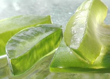 7 usos del gel de aloe vera para la piel y el pelo