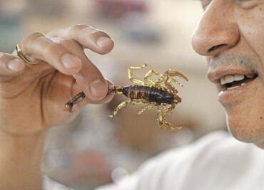 La ONU quiere que comas insectos en el futuro