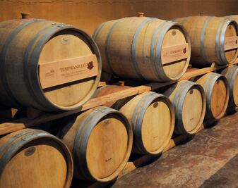 Vino y canto para los sentidos 