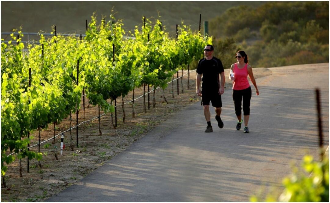 Es un destino para renovarse y continuar en casa con un régimen de vida en armonía. (Foto: Cortesía)