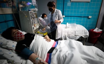 Pacientes de Covid-19 son tratados con suero obtenido de caballos