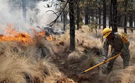 Ejército activa Plan DN III por incendio forestal en Parque Nacional de Veracruz; suman 570 hectáreas afectadas