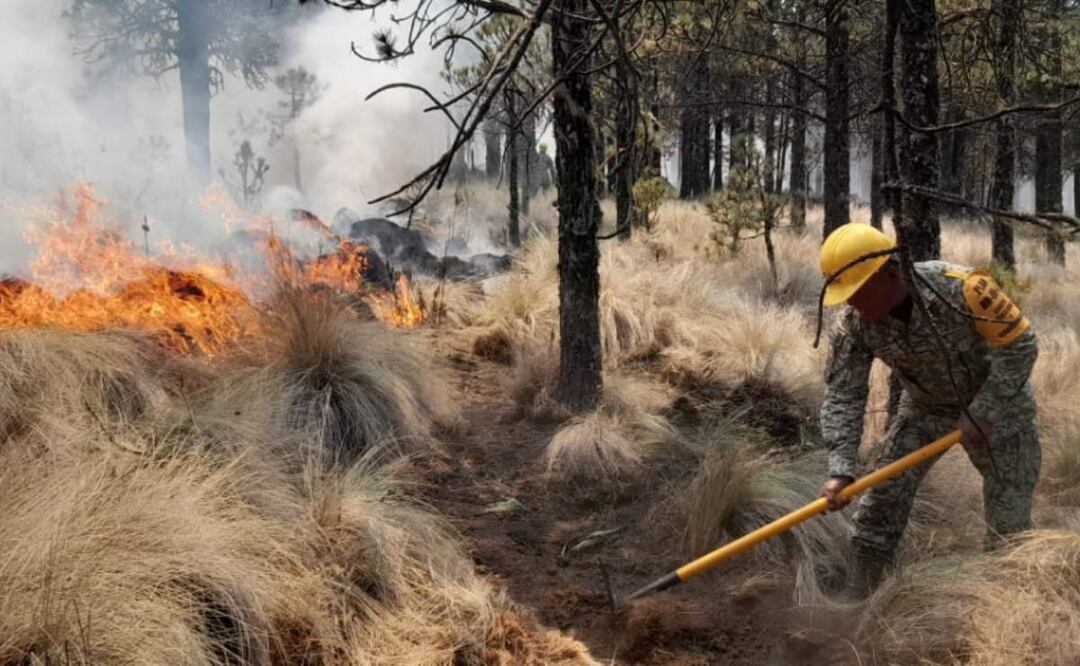 Elementos del ejército combaten un incendio forestal en el Parque Nacional Cofre de Perote en Veracruz (16/04/2025). Foto: Especial