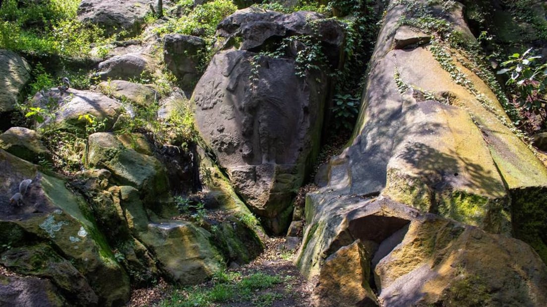 Foto: Bosque de Chapultepec