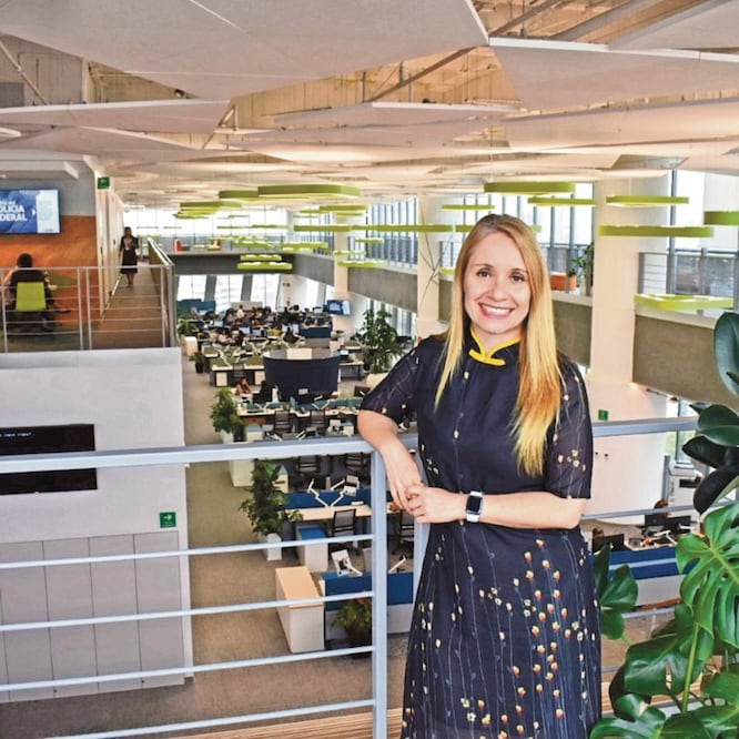 Claudia Jañez, presidenta del CEEG, comentó que por ahora las 50 empresas que conforman el grupo analizan el monto de inversión. MIGUEL PALLARES. EL UNIVERSAL