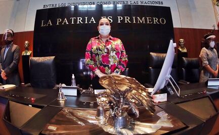 Legisladores del PRD y PES siguen en el Senado y sus derechos a salvo: Mónica Fernández