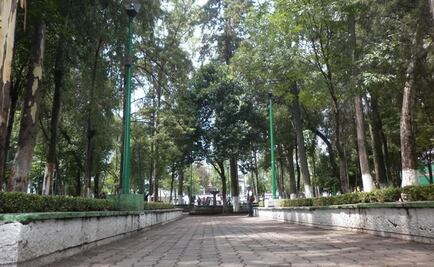 Acusan tala de 200 árboles para construir teatro en Edomex