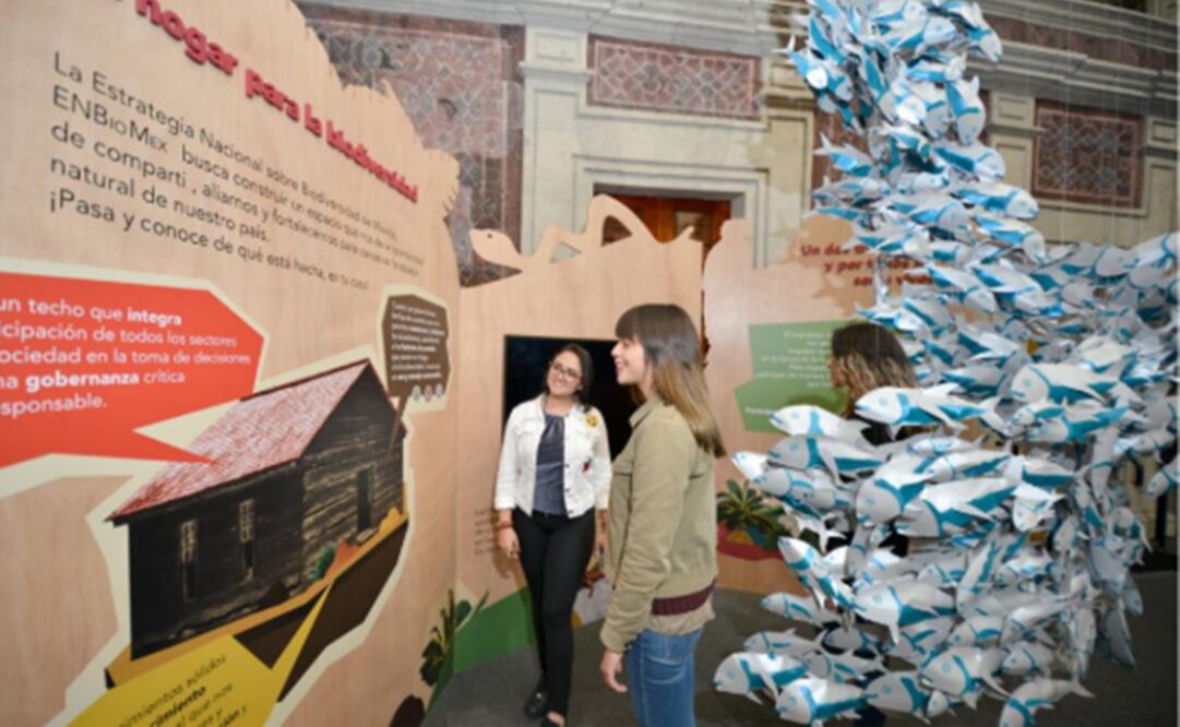 Aspecto de la muestra "Ecos de la tierra". Foto: MIDE