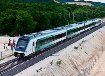 Activistas rechazan colocación de cámaras trampa para fauna en Tren Maya; piden retirar mallas metálicas que obstruyen su paso