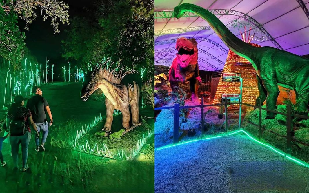 Foto: Facebook “Dinosaurios Animatronics Recargado”