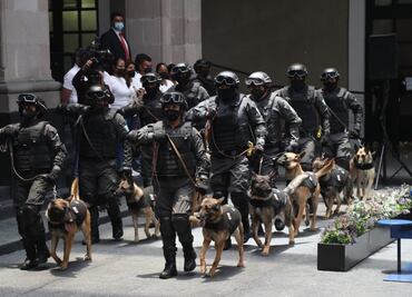 Embajada de Estados Unidos dona binomios caninos a penales del Edomex