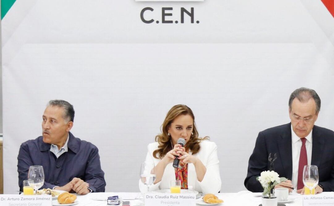 La dirigente nacional del PRI, Claudia Ruiz Massieu. Foto: Especial