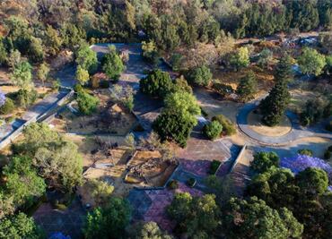 Buscan que Chapultepec sea una de las áreas de valor ambiental más importantes en CDMX