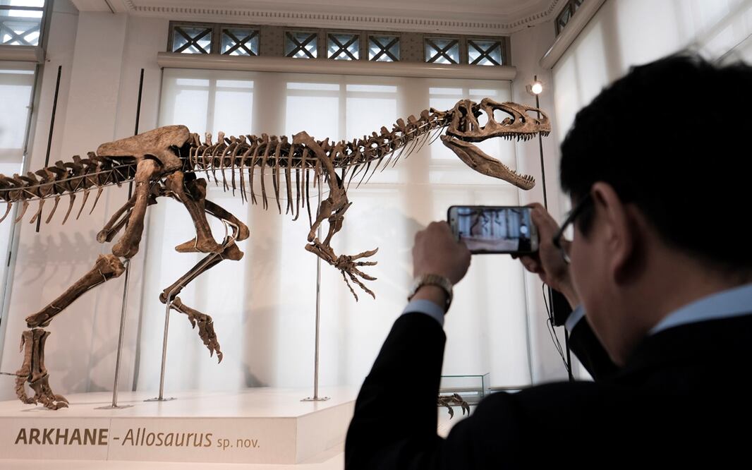 Imagen ilustrativa. Foto: EFE/ Olivier Hoslet