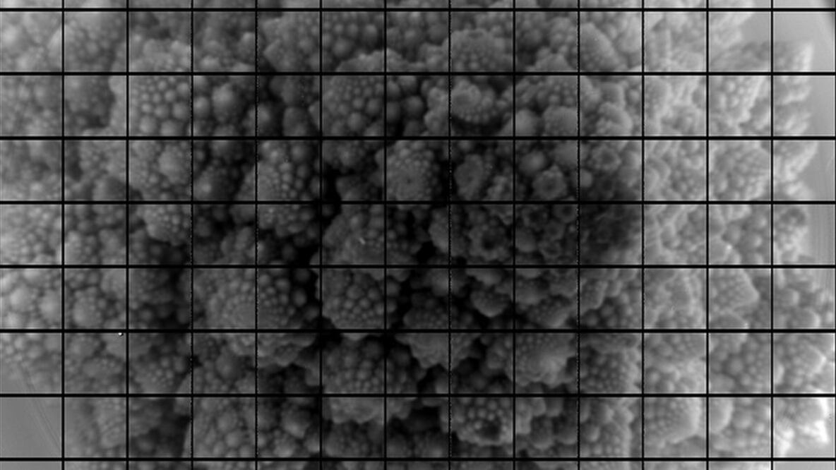 Una cabeza de brócoli fue fotografiada por la cámara de 3 mil 200 megapíxeles que se instalará en el Observatorio Vera Rubin en Chile. Foto: LSST Camera Team/SLAC/VRO 