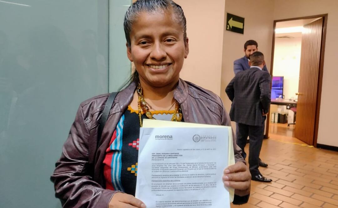 Diputada Irma Juan Carlos, de Morena. Foto: Especial