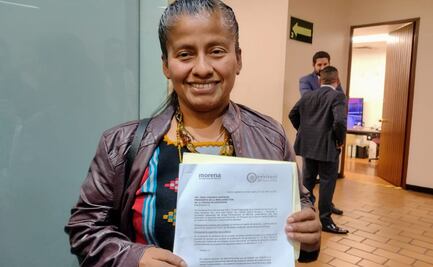 Más de 90 diputados piden no limitar al Tribunal Electoral para que intervenga en acciones afirmativas