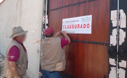 Profepa realiza operativos en área natural protegida de Yucatán; se reportó ocupación irregular y cambio de uso de suelo