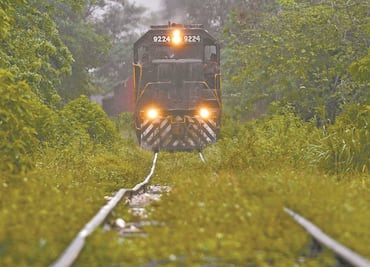 Critica CEESP más gasto para Tren Maya