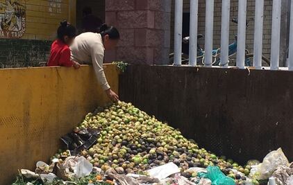 México desperdicia más de 10 millones de toneladas de alimentos al año: senadora