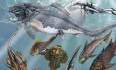 Peces óseos primitivos muestran mandíbulas y dientes; cambios evolutivos ocurrieron antes de lo pensado