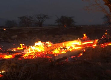 Suman 89 muertos en Hawái tras incendios más mortíferos en 100 años en EU