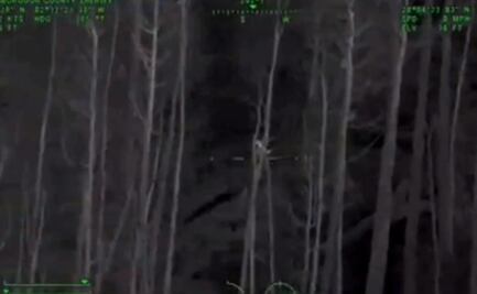 VIDEO: Hallan con imágenes térmicas a una niña perdida en un pantano de Florida