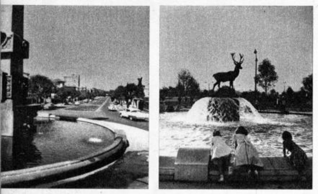 Bebemos agua embotellada por el sismo del 85