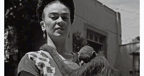 Docus mexicanos invaden la pantalla